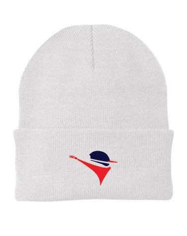 Bandits Port Authority Embroidered knit cap